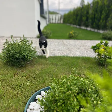 Mirsah 公寓 达拉曼