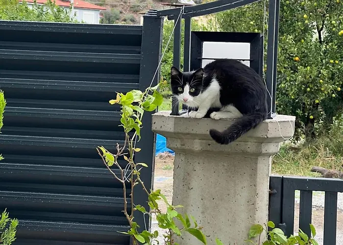 Mirsah Apartamento *