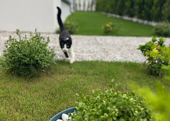 Mirsah Apartamento Dalaman